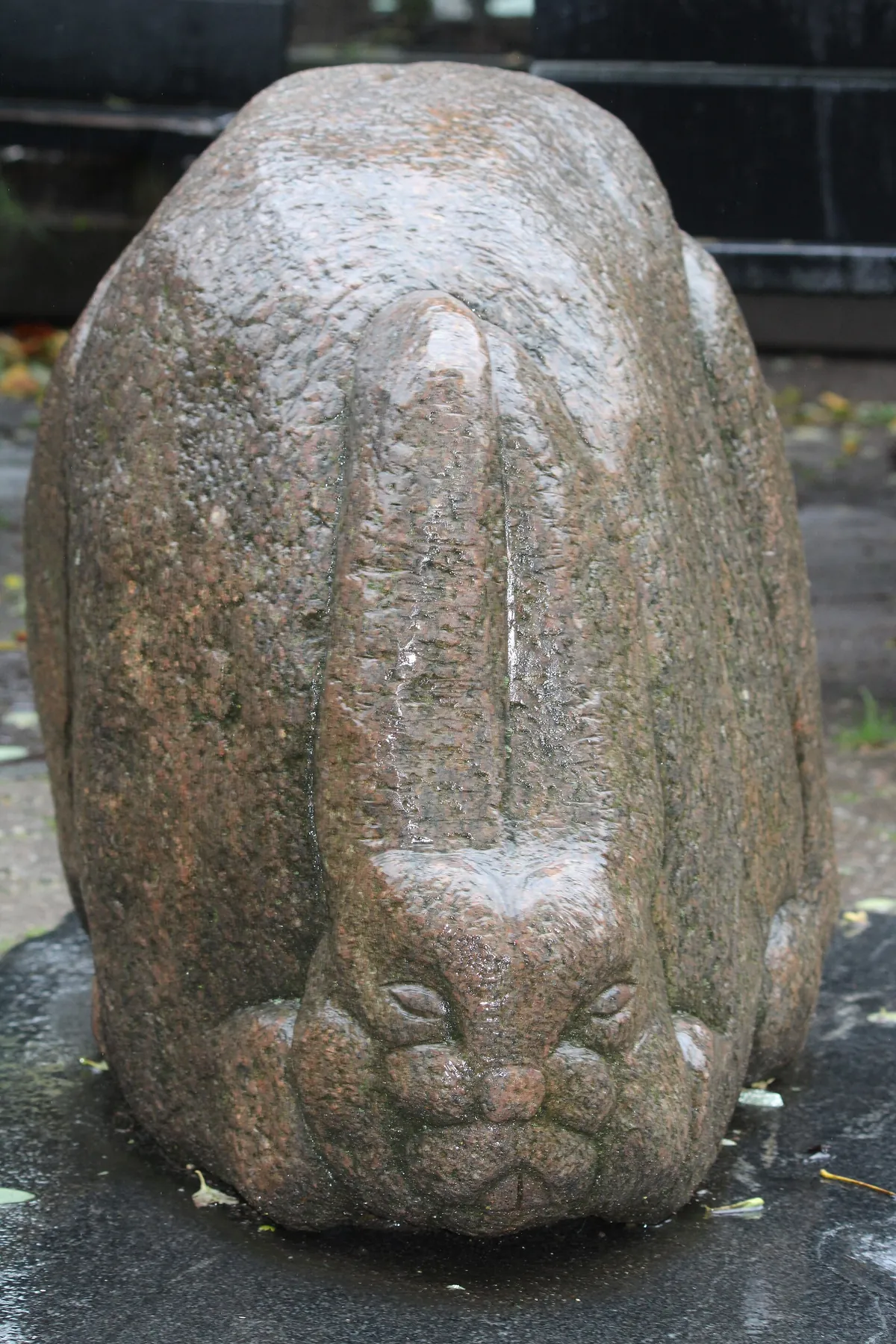 Copenhagen Zoo