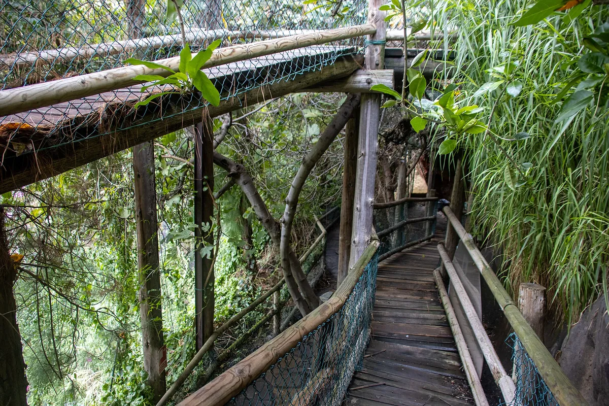 MAROPARQUE ISLA DE LA PALMA