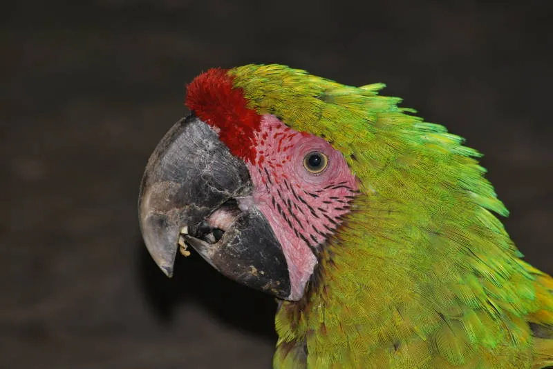 Parque de la Conservación