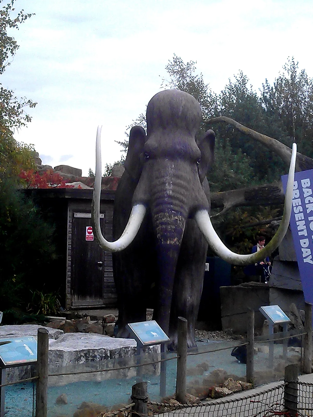 Blackpool Zoo