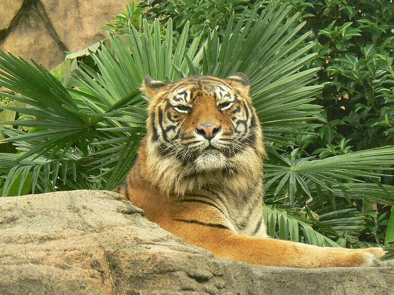 Sendai Yagiyama Zoological Park