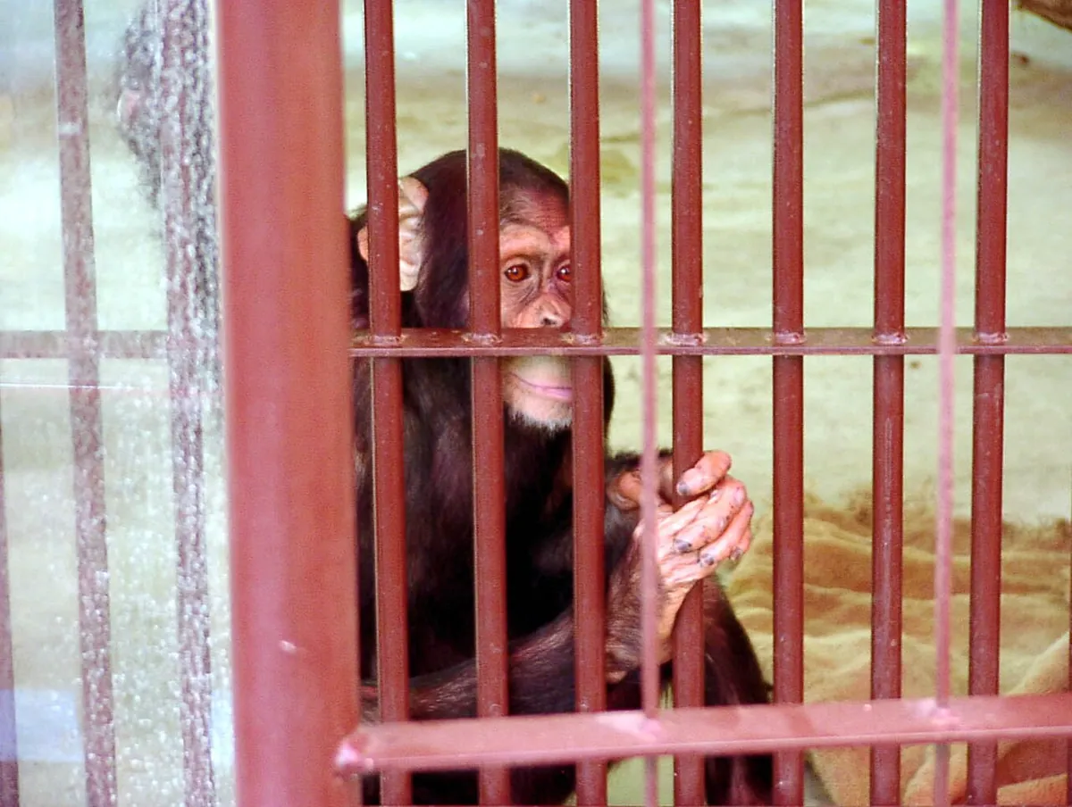 Ikeda Zoo