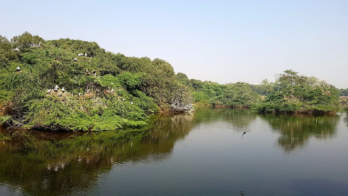 Kanpur Zoological Park