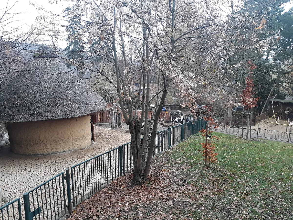 Tiergarten Eisenberg