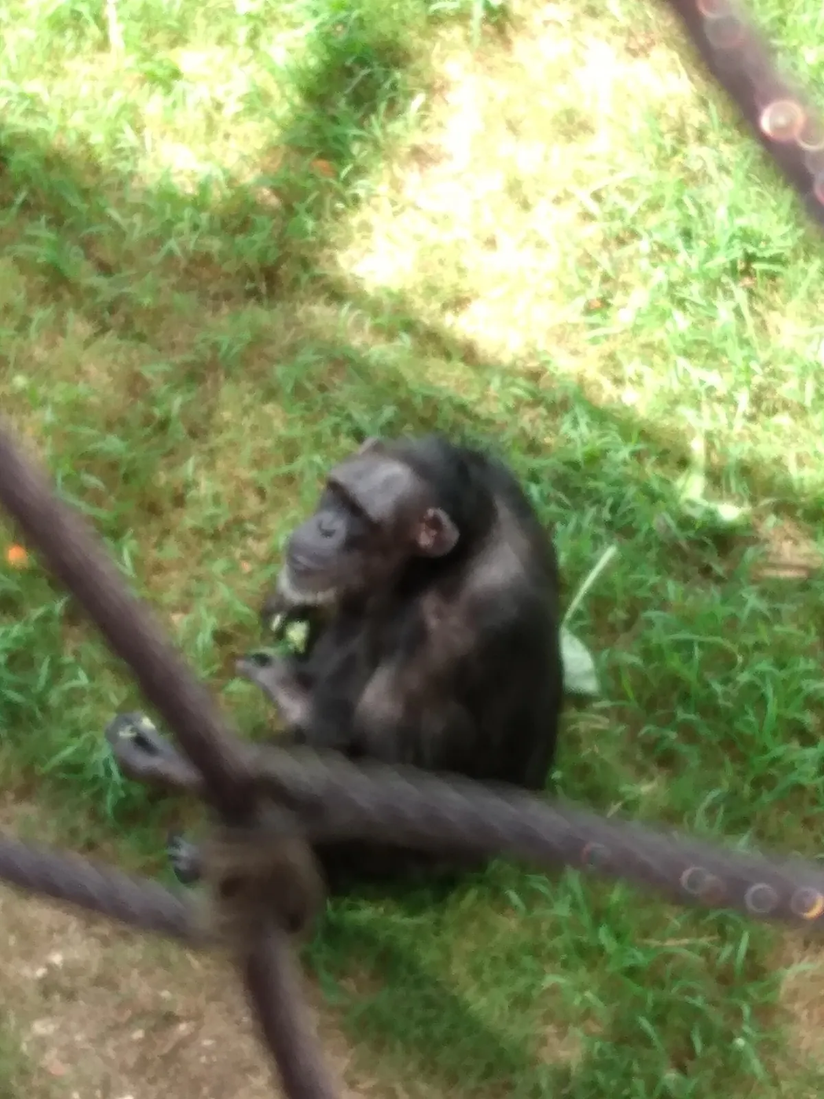 Little Rock Zoological Gardens