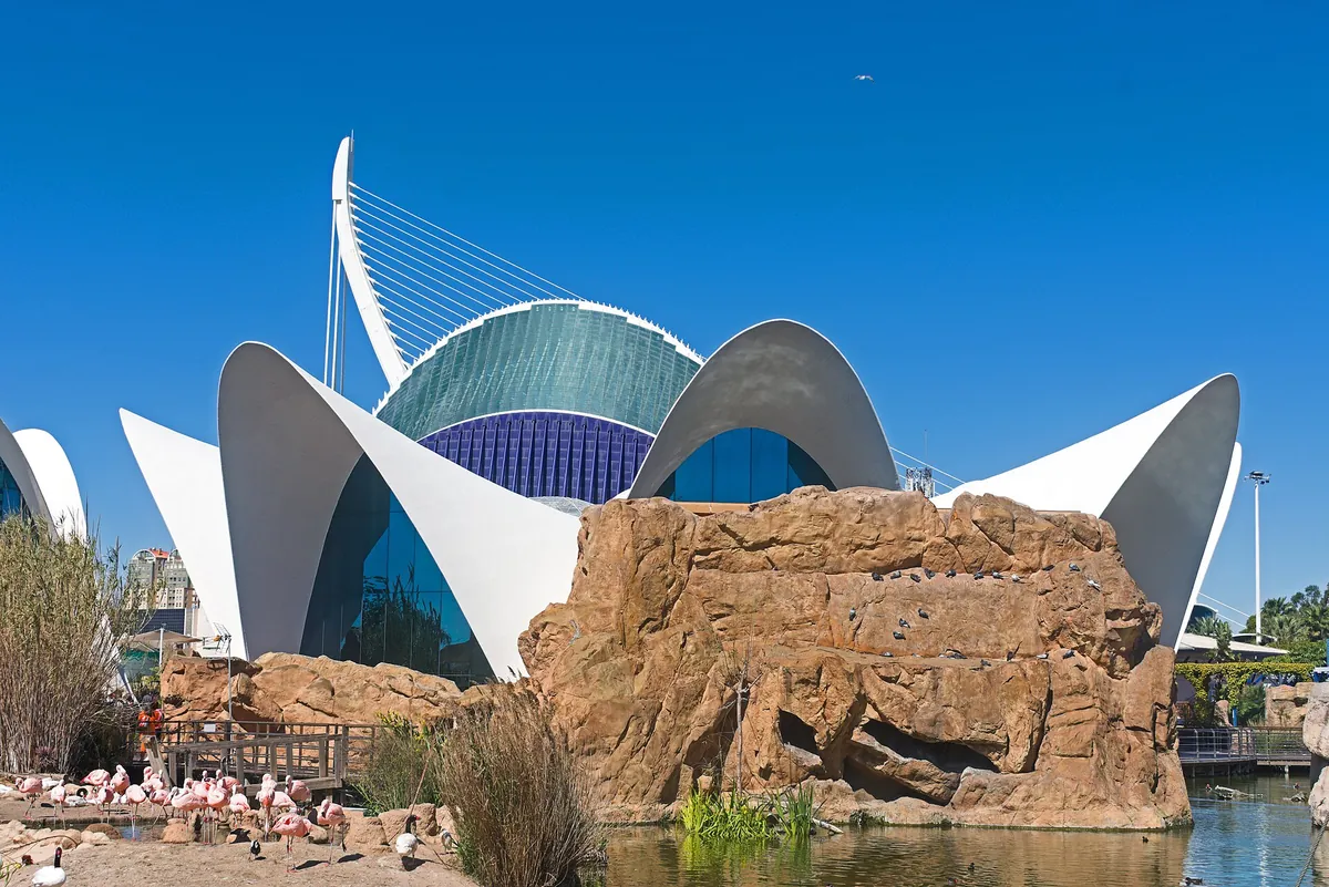L'Oceanogràfic
