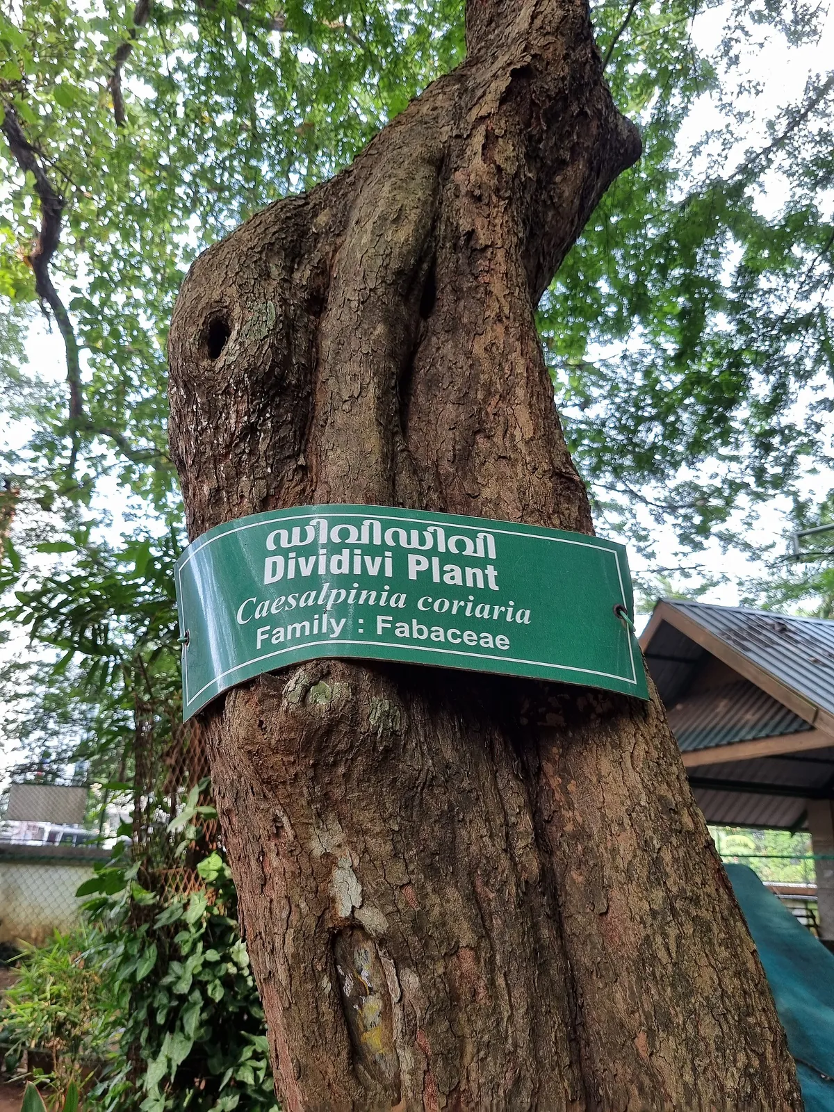 Thrissur Zoo