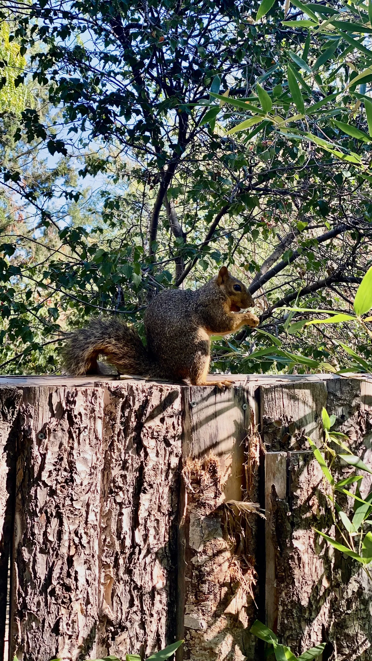 Zoo Boise