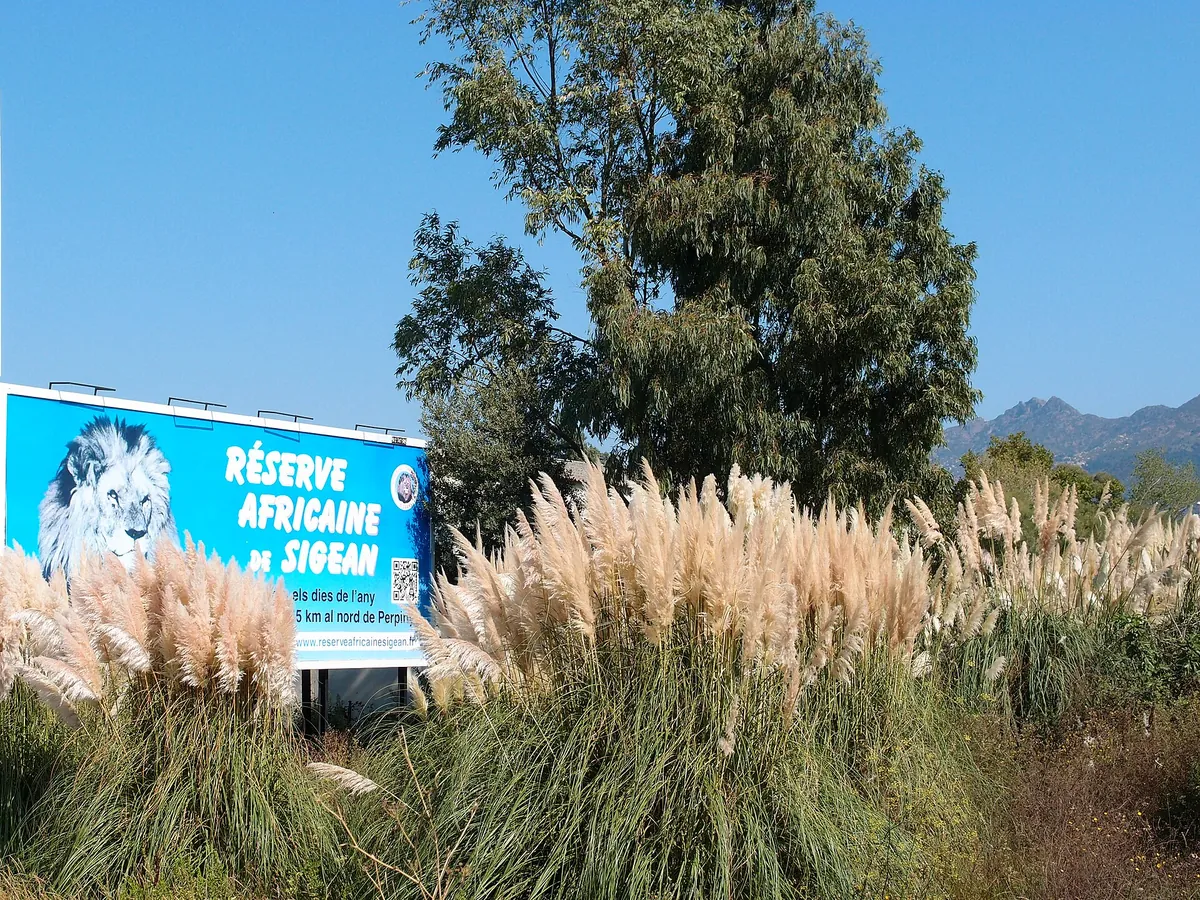 Réserve africaine de Sigean