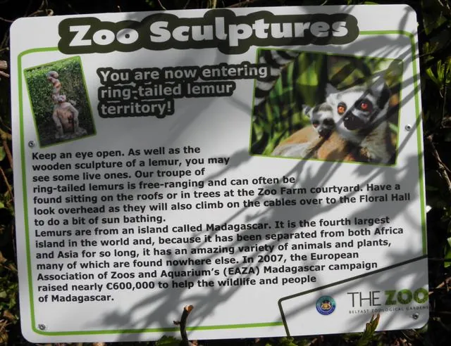 Belfast Zoo