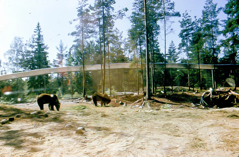 Kolmårdens Djurpark