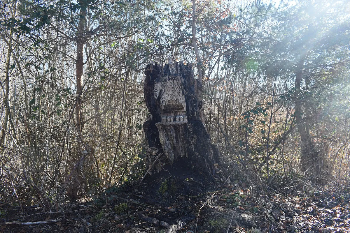 Tierpark Dählhölzli