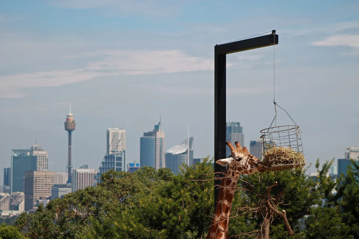 Taronga Zoo
