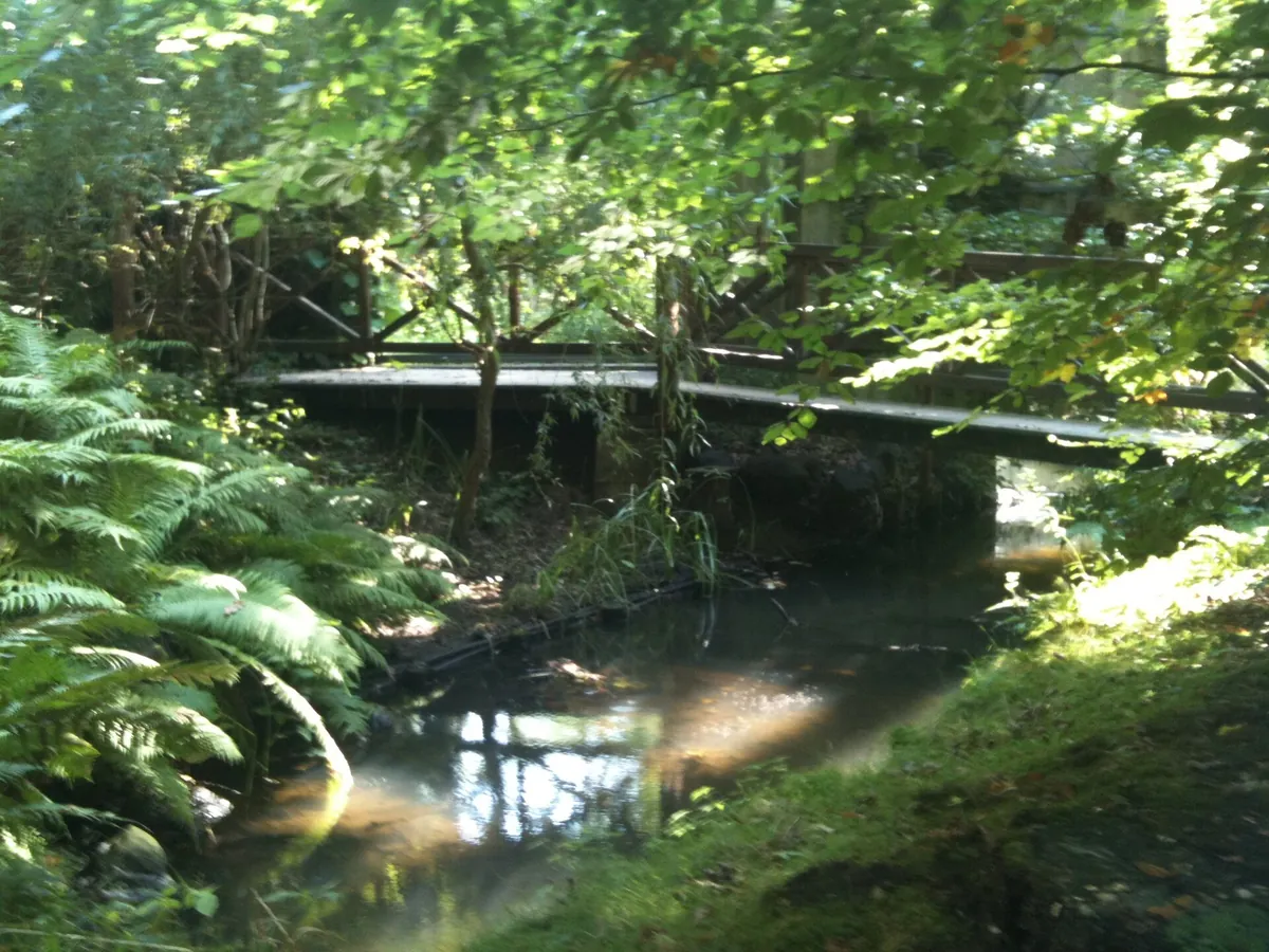 Tierpark Cottbus