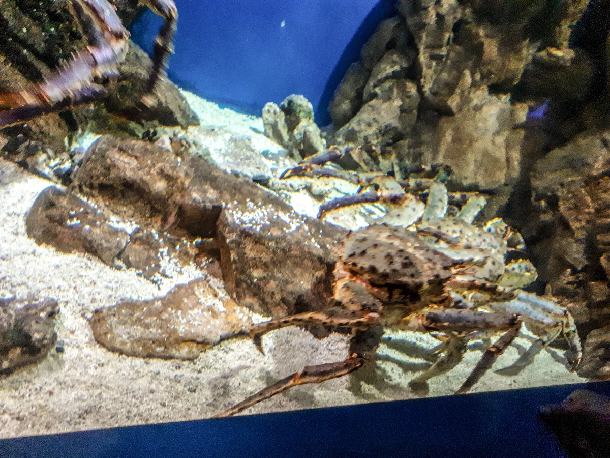 Oceanarium in Saint Petersburg