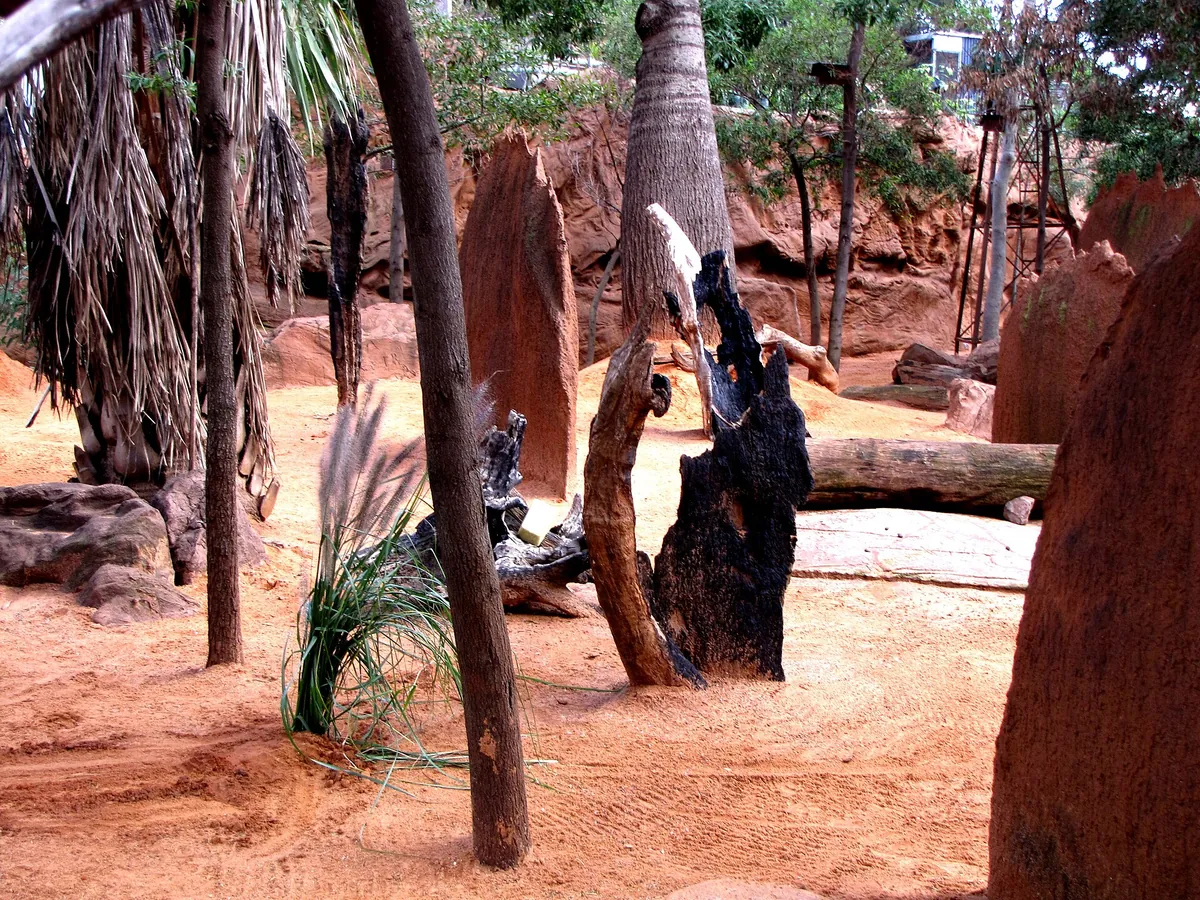 Sydney Aquarium & Sydney Wildlife World