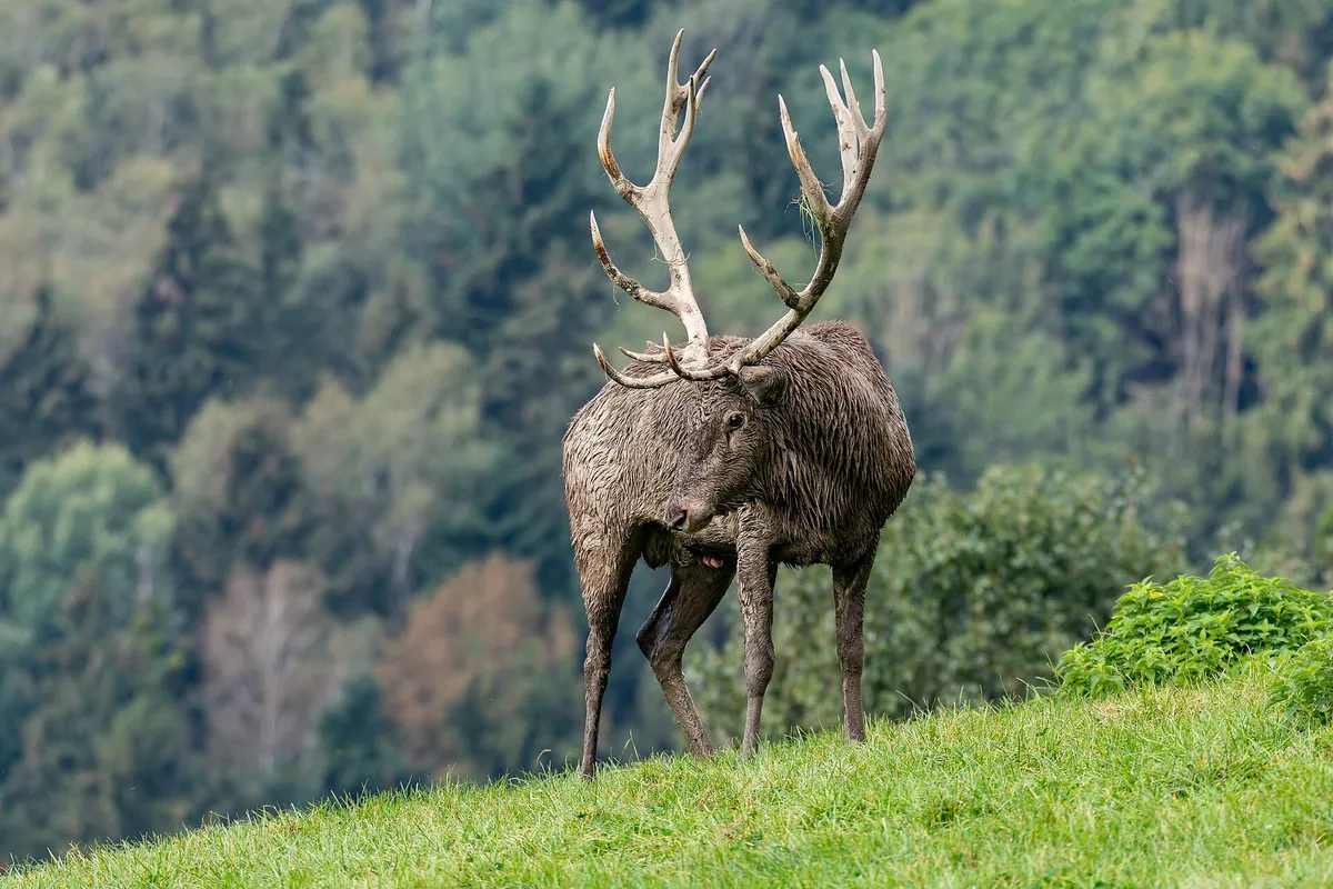 Tierpark Altenfelden