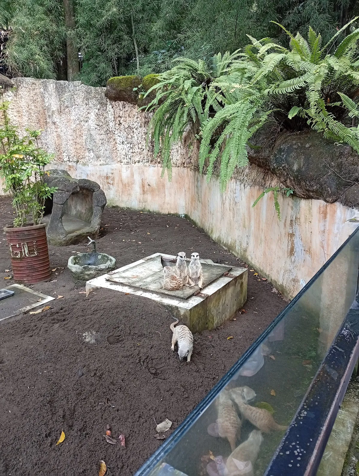 Gembira Loka Zoo