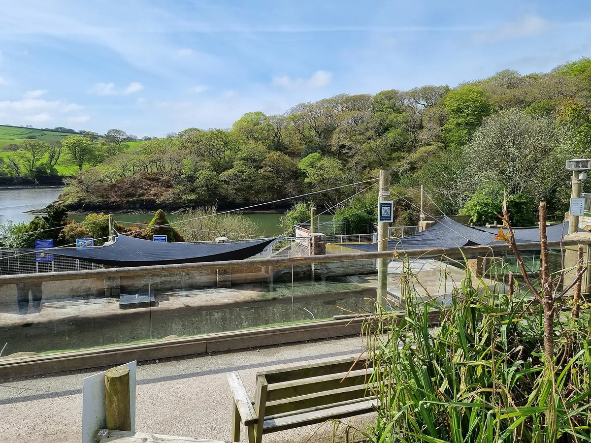 Cornish Seal Sanctuary