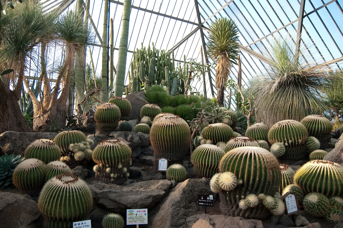 Izu Shaboten Zoo