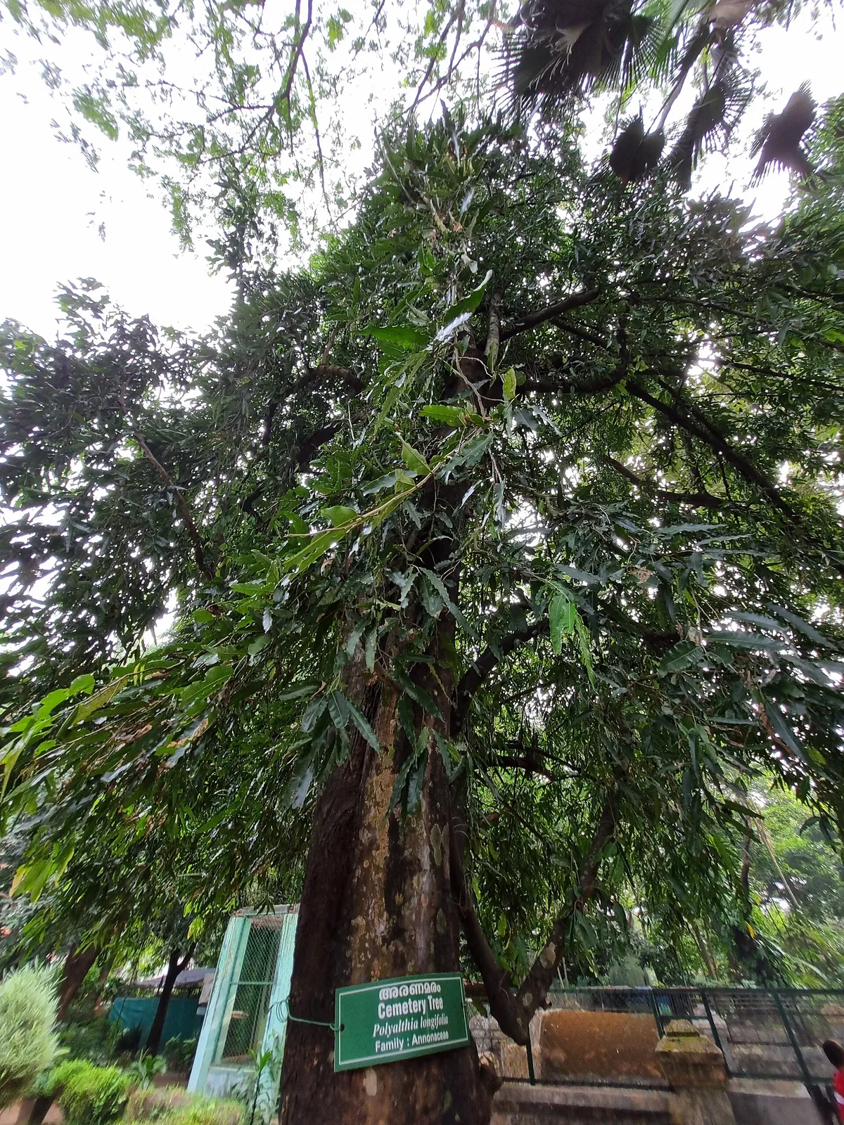 Thrissur Zoo