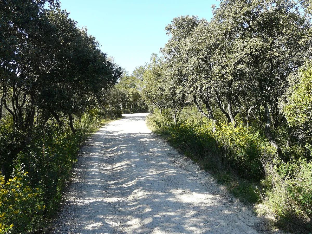 Parc zoologique de Montpellier