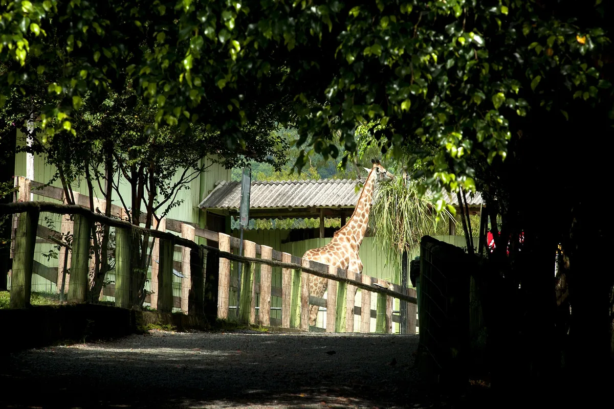 Zoo Pomerode