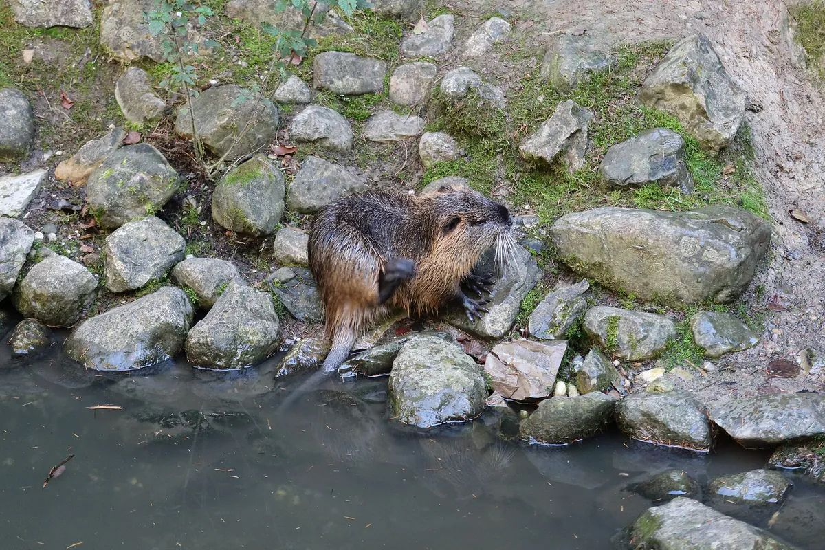 Bergtierpark Blindham