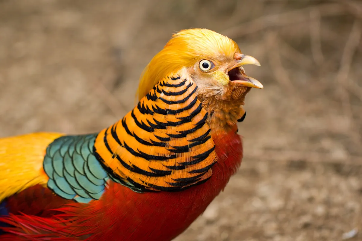Zoopark Zájezd