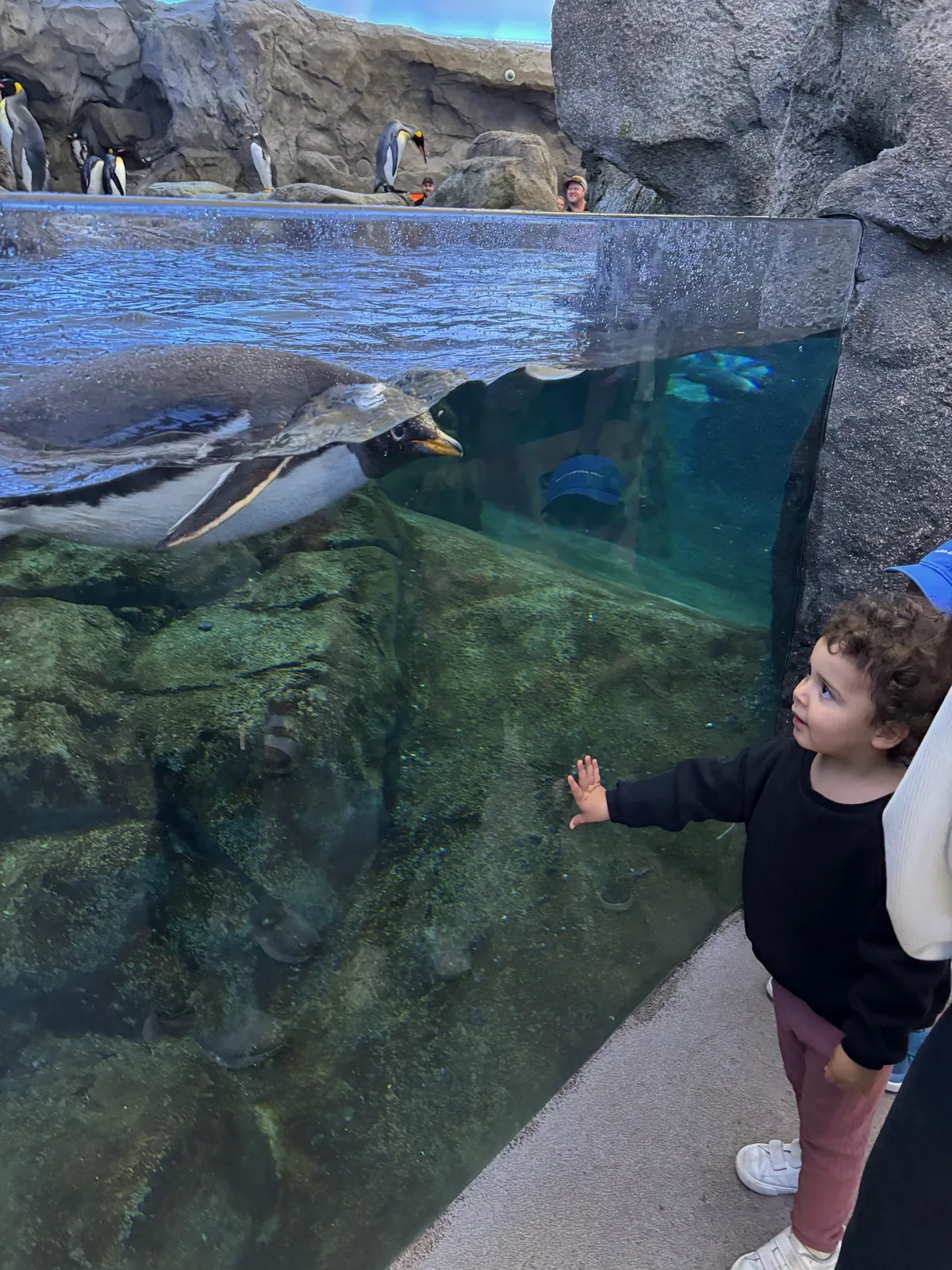 Wilder Institute/Calgary Zoo
