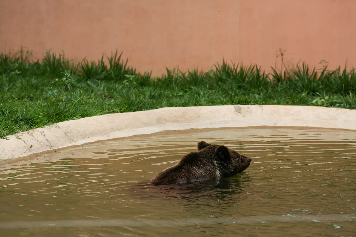 Parque Zoobotânico de Teresina