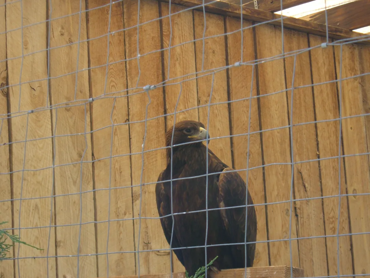 Alameda Park Zoo
