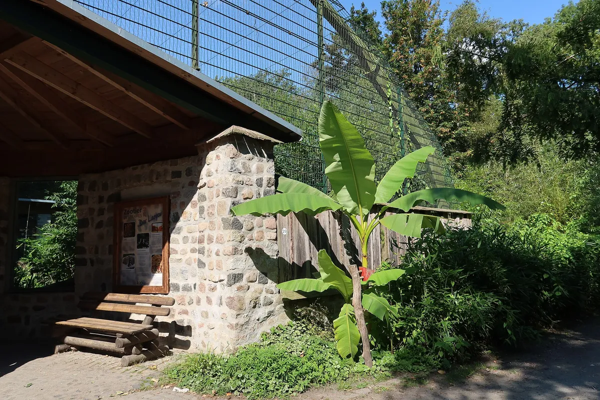 Zoo Stralsund