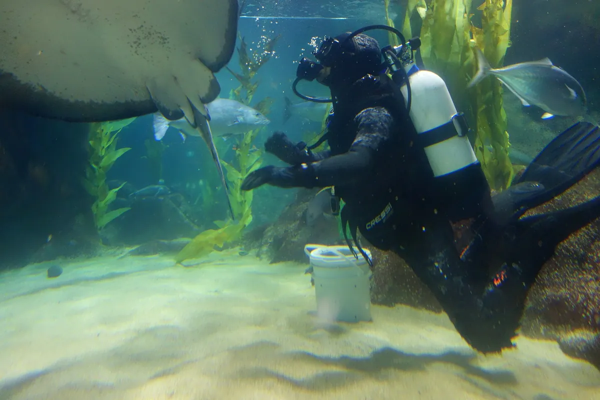 National Aquarium of New Zealand