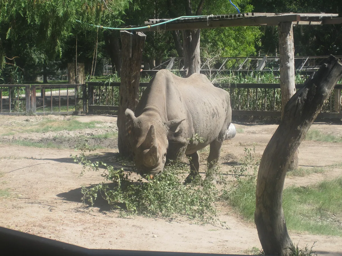 Lee Richardson Zoo