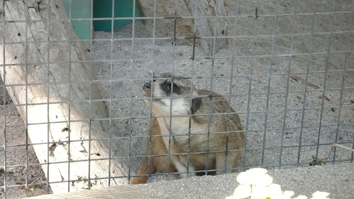 The Living Desert