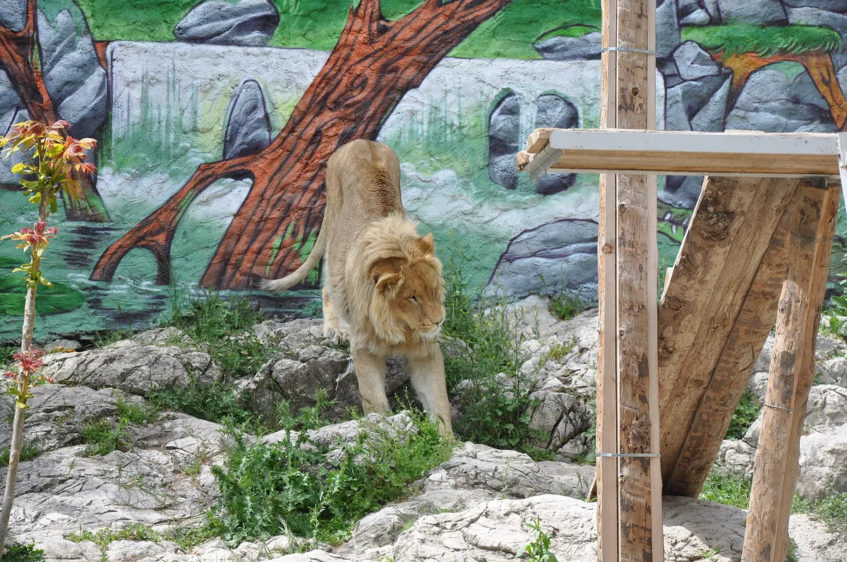 Zoo du Mont Faron