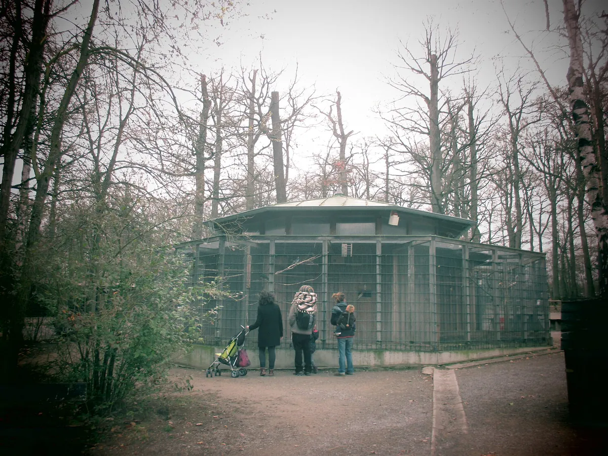 Wildpark An den Eichen