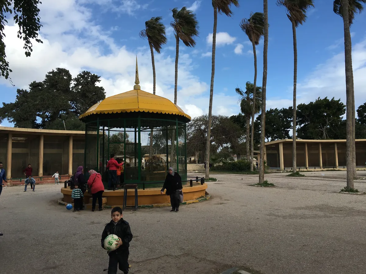 Alexandria Zoo