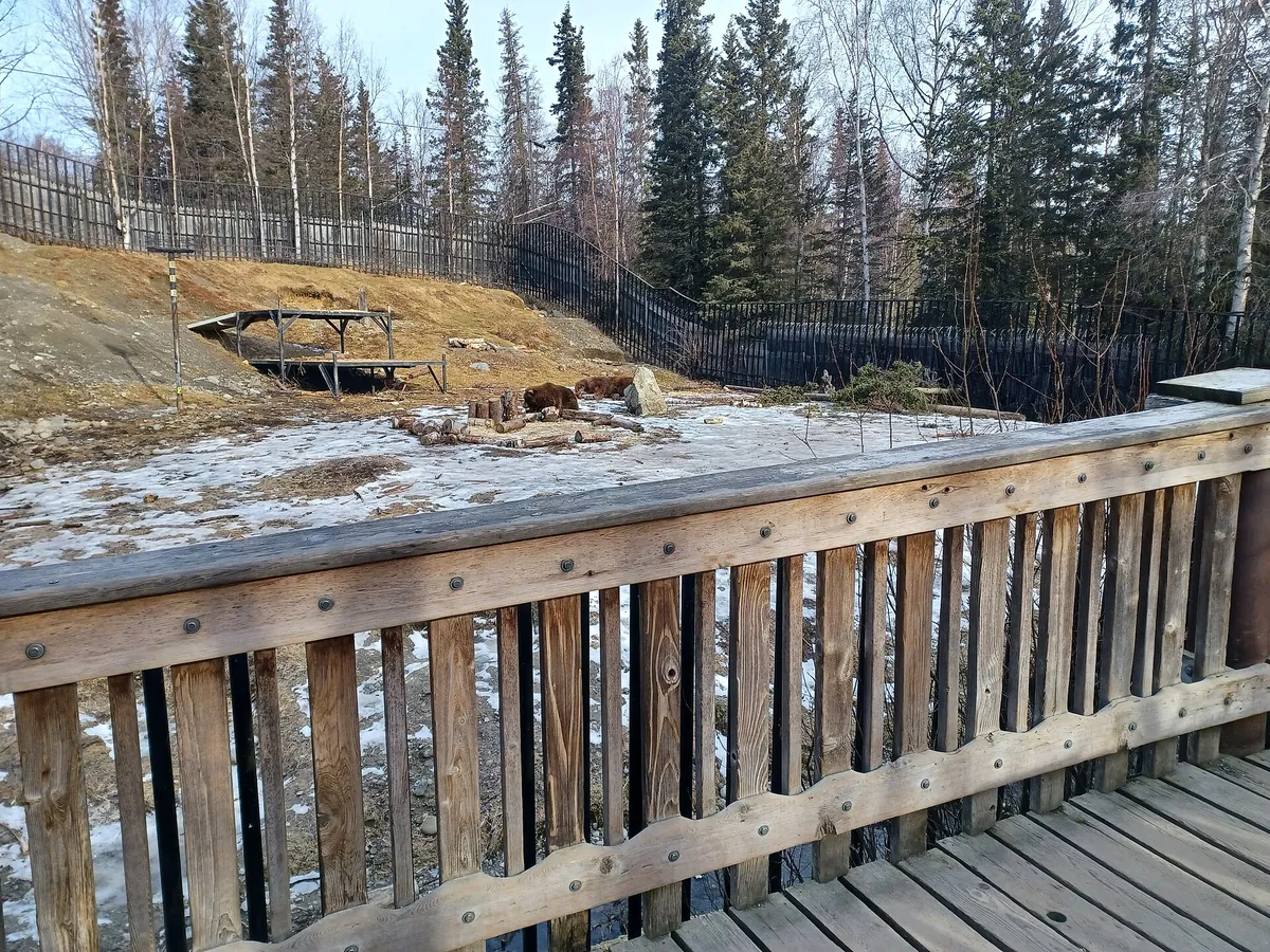 Alaska Zoo