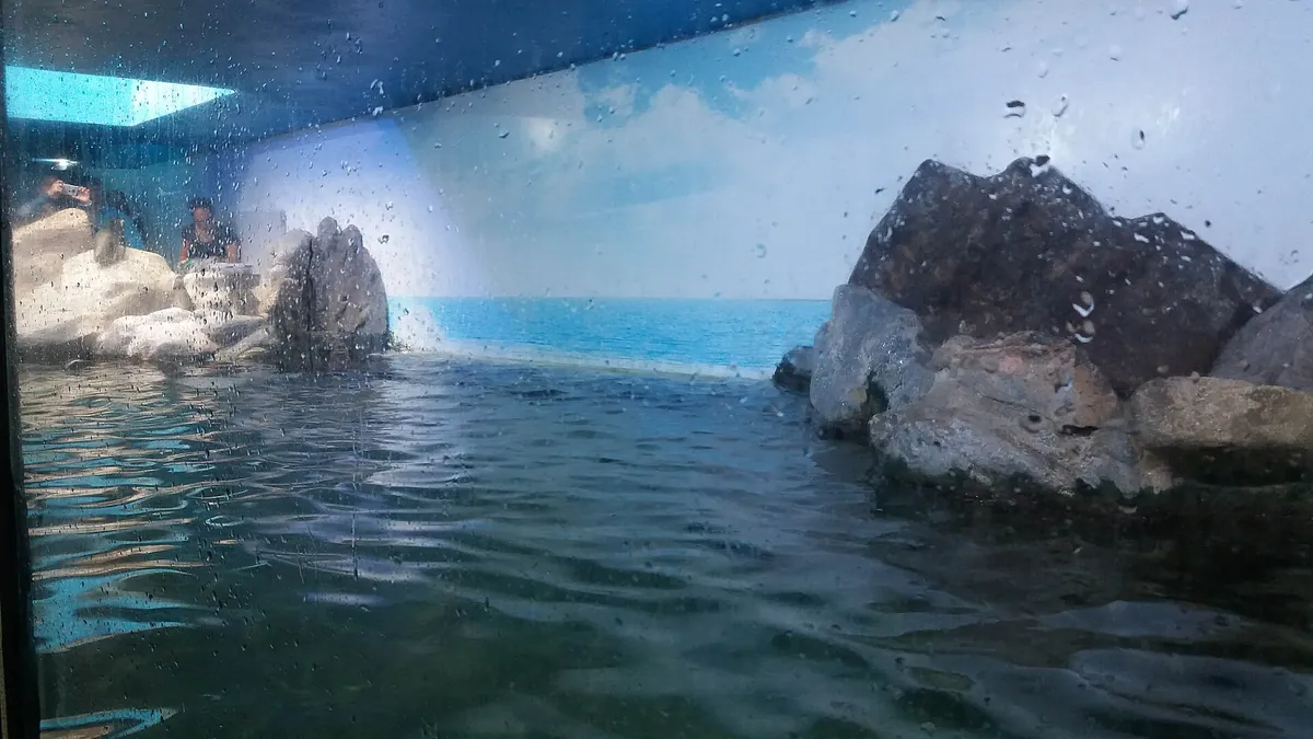 Aquário de Ubatuba