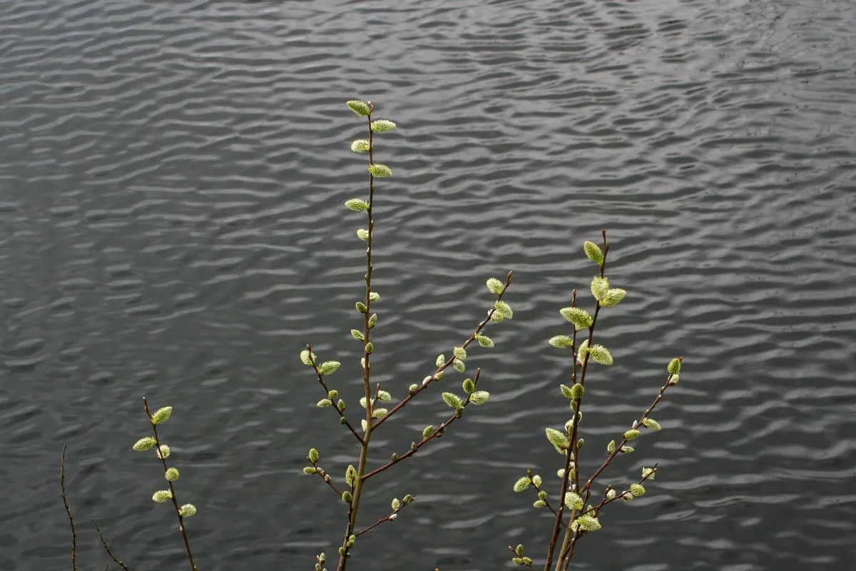 Safaripark Beekse Bergen