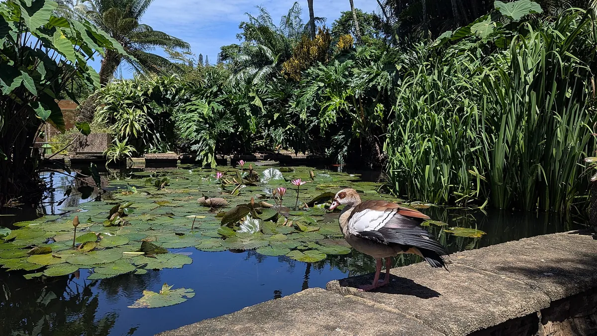 Mitchell Park Zoo