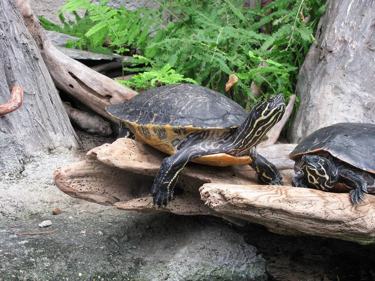 North Carolina Aquarium on Roanoke Island