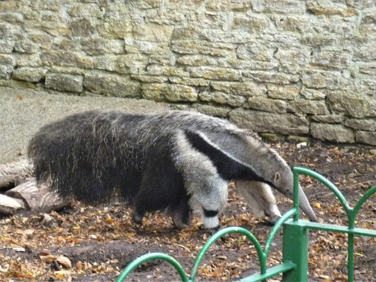 Longleat