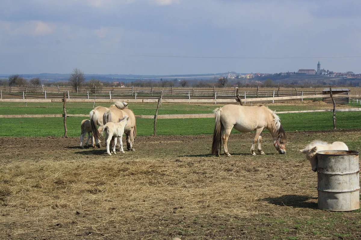 Zoopark Zelčín