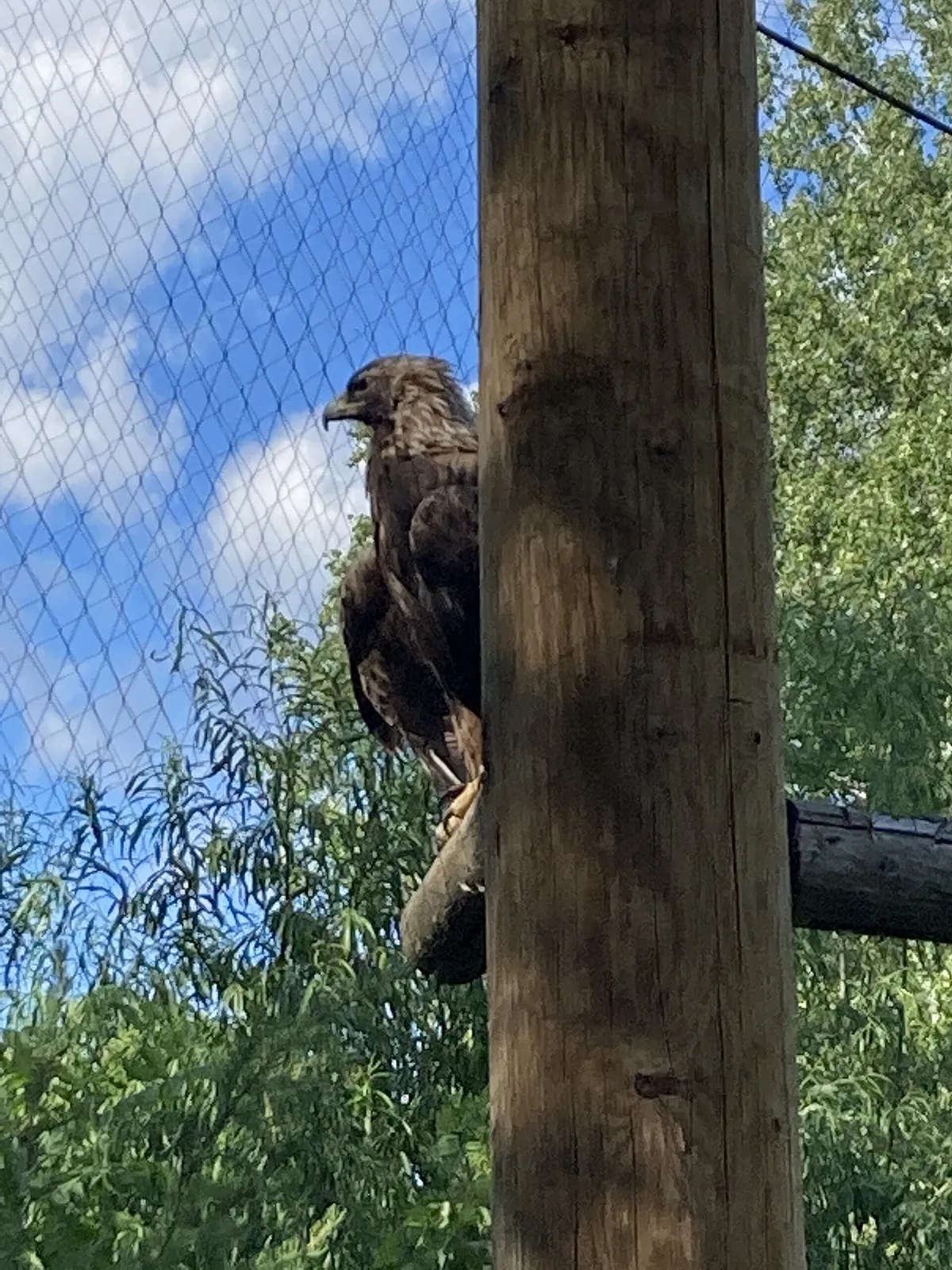 Zoo Ecomuseum