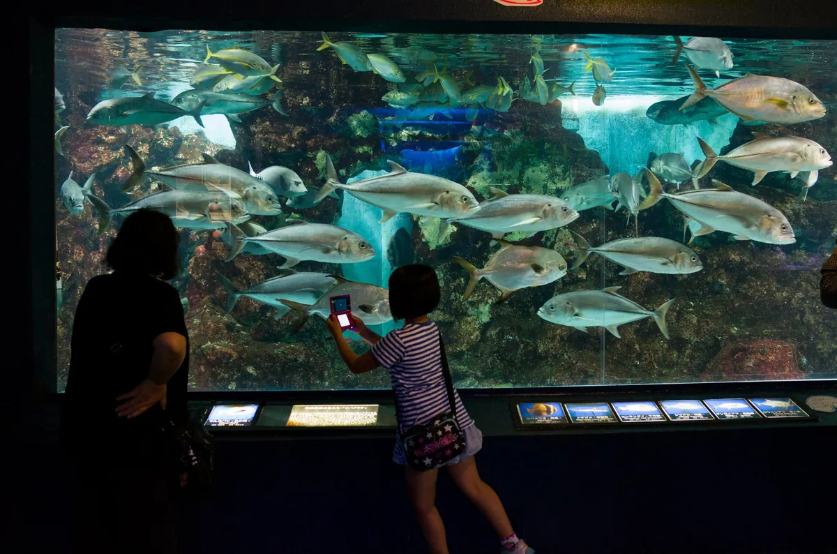 Teradomari Aquarium