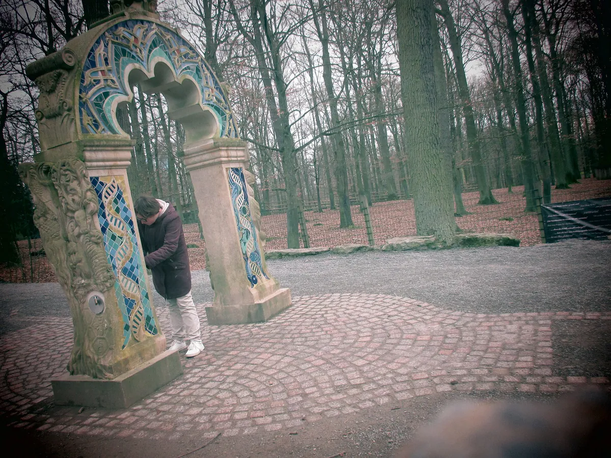 Wildpark An den Eichen