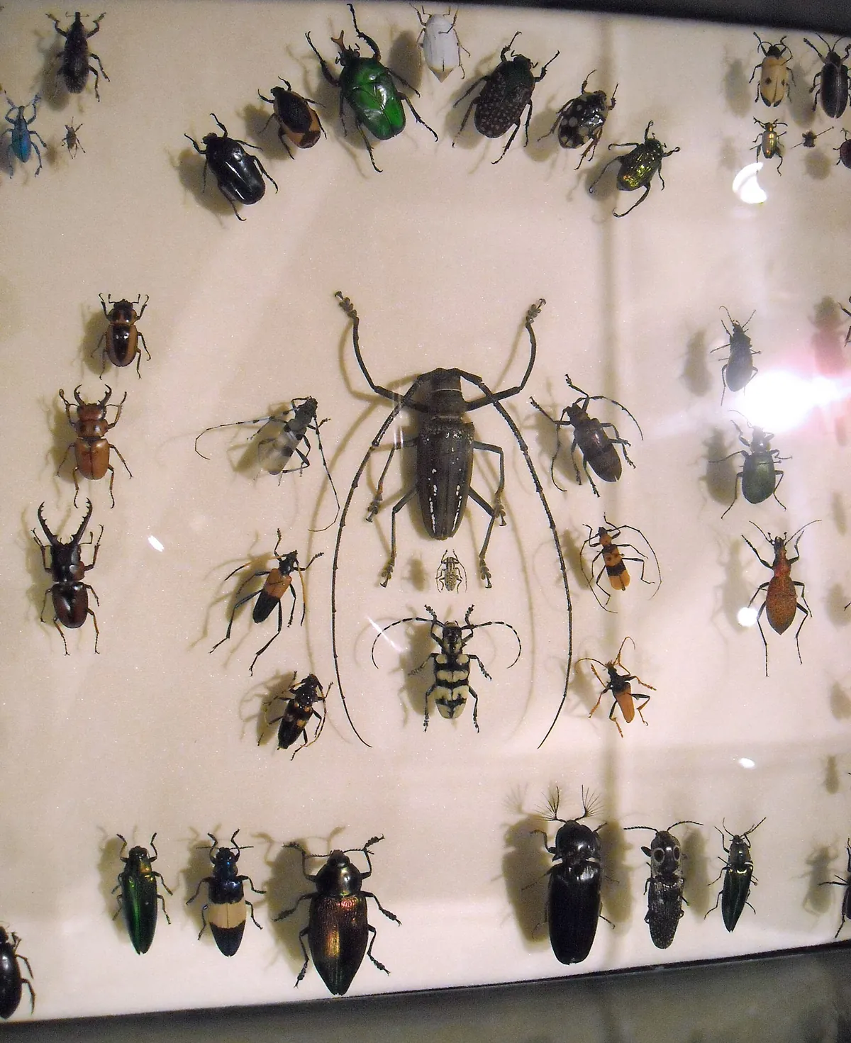 Audubon Aquarium & Insectarium